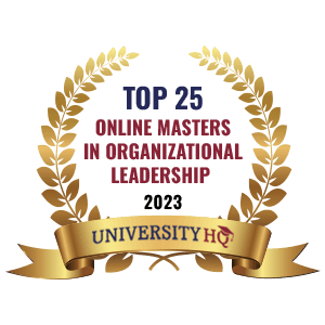 top 25 online masters